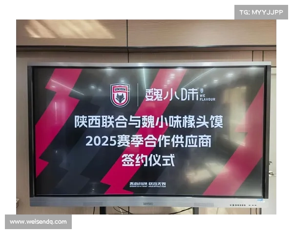 赞助过足球的赞助商企业